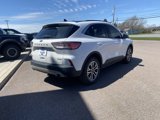 Used 2022 Ford Escape SEL image 5
