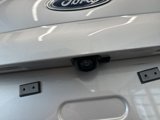 Certified 2021 Ford EcoSport SE w/ SE Convenience Package image 6