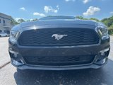 Used 2017 Ford Mustang Premium image 2