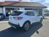Used 2020 Ford Escape SEL image 5