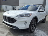 Certified 2022 Ford Escape SEL image 4