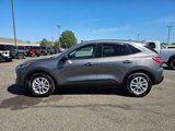 Used 2021 Ford Escape SE image 3