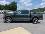 Used 2018 Ford F150 XLT w/ Equipment Group 302A Luxury image 4