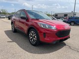 Certified 2020 Ford Escape SE Sport image 3