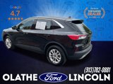 Used 2022 Ford Escape SE w/ Convenience Package image 3
