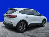 New 2025 Ford Escape ST-Line w/ Tech Pack #1 image 3