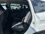 Used 2019 Ford Escape SE image 5
