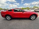 Used 2010 Ford Mustang Coupe image 4