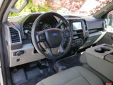 Used 2015 Ford F150 XLT w/ Equipment Group 301A Mid image 5