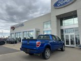 Used 2014 Ford F150 STX w/ Equipment Group 201A Mid image 4