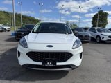 Used 2022 Ford Escape SE image 2