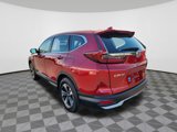 Certified 2022 Honda CR-V Special Edition image 3