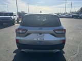 Used 2022 Ford Escape SE w/ Convenience Package image 4