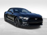 Used 2016 Ford Mustang Premium image 1