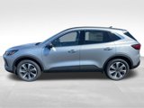 Used 2024 Ford Escape Platinum w/ Premium Technology Package image 2