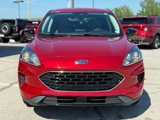 Used 2022 Ford Escape SE w/ SE Sport Appearance Package image 2