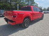 Used 2021 Ford F150 XLT w/ Equipment Group 302A High image 5