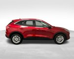 Used 2022 Ford Escape SE w/ Convenience Package image 4