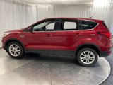 Used 2019 Ford Escape SE image 3
