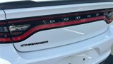 Used 2016 Dodge Charger SE w/ Blacktop Package image 5