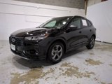 Used 2023 Ford Escape ST-Line w/ Equipment Group 301A image 3