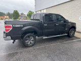 Used 2014 Ford F150 XLT w/ Equipment Group 302A Luxury image 2