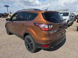 Used 2017 Ford Escape SE w/ SE Sport Appearance Package image 3