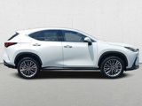 New 2025 Lexus NX 350 AWD w/ Accessory Package (2T) image 4