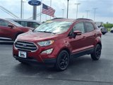 Used 2019 Ford EcoSport SE w/ SE Convenience Package image 3
