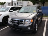 Used 2010 Ford Escape XLT image 3