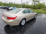 Used 2013 Honda Accord EX image 4