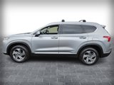 Used 2021 Hyundai Santa Fe SEL w/ Convenience + Premium Package image 4