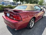 Used 2004 Ford Mustang GT image 6
