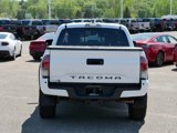Used 2020 Toyota Tacoma TRD Off-Road image 5