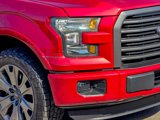 Used 2016 Ford F150 XLT w/ Equipment Group 302A Luxury image 5