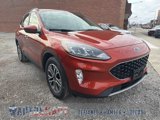 Used 2020 Ford Escape SEL image 6