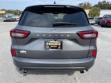 Used 2023 Ford Escape ST-Line image 5