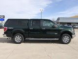 Used 2014 Ford F150 XLT w/ Equipment Group 302A Luxury image 6