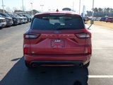 Used 2024 Ford Escape ST-Line image 4