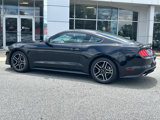 Used 2020 Ford Mustang Coupe w/ Equipment Group 101A image 4