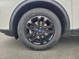 Certified 2022 Ford Escape SE image 2