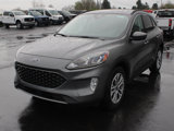 Certified 2022 Ford Escape SEL image 4