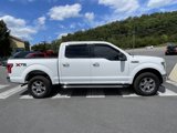 Used 2015 Ford F150 XLT w/ Equipment Group 302A Luxury image 4