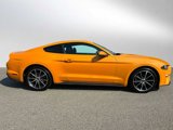 Used 2018 Ford Mustang Premium w/ Equipment Group 201A image 2