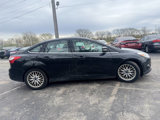 Used 2014 Ford Focus Titanium image 5