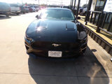 Used 2020 Ford Mustang Coupe w/ Equipment Group 101A image 3