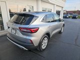Used 2024 Ford Escape Active image 4