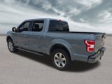 Used 2019 Ford F150 XLT w/ Equipment Group 302A Luxury image 4