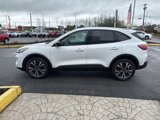 Used 2022 Ford Escape SE w/ SE Sport Appearance Package image 4