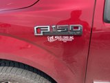 Used 2015 Ford F150 XLT w/ Equipment Group 302A Luxury image 4